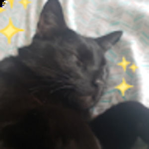 Meet your Posher, Meghan